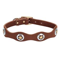 Weaver Lonestar Legend Dog Collar